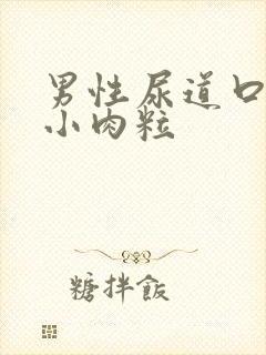 男性尿道口有些小肉粒