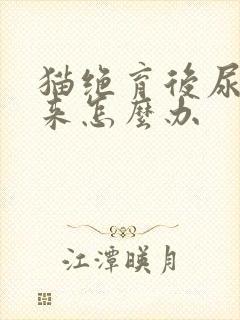 猫绝育后尿不出来怎么办