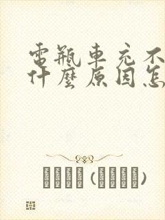 电瓶车充不进电什么原因怎么解决