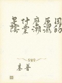 是什么原因导致阴囊潮湿的