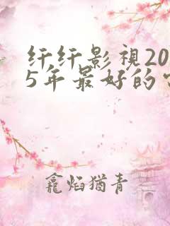 纤纤影视2025年最好的电视剧