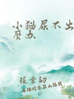 小猫尿不出尿怎么办