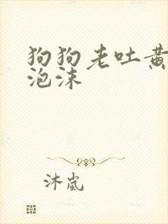 狗狗老吐黄水带泡沫