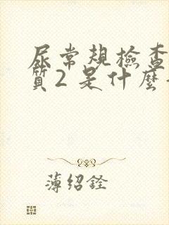 尿常规检查蛋白质2 是什么意思