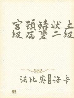 宫颈鳞状上皮高级病变二级