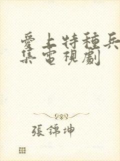 爱上特种兵40集电视剧