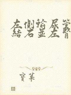 左侧输尿管下段结石并左肾积水