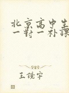 北京高中生英语一对一补课价格