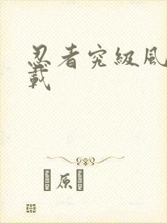 忍者究级风暴下载