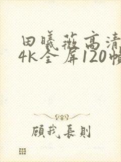 田曦薇高清壁纸4k全屏120帧