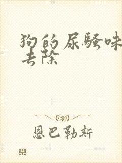 狗的尿骚味怎么去除