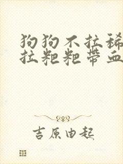 狗狗不拉稀但是拉粑粑带血