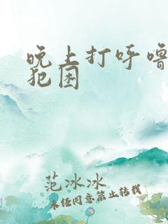 晚上打呼噜白天犯困