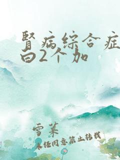 肾病综合症尿蛋白2个加