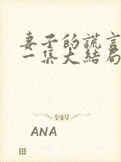 妻子的谎言最后一集大结局