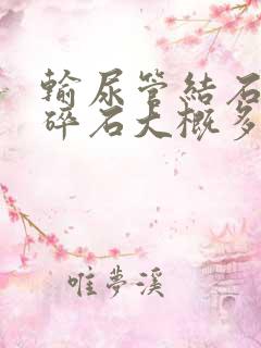 输尿管结石体外碎石大概多少钱