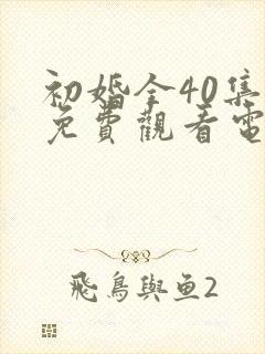 初婚全40集全免费观看电视剧