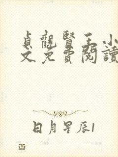 贞观贤王小说全文免费阅读