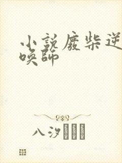 小说废柴逆天召唤师