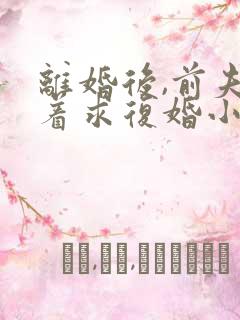 离婚后,前夫哭着求复婚小说阅读