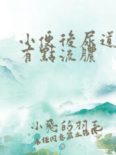 小便后尿道刺痛有点流脓