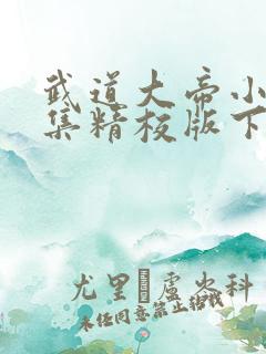 武道大帝小说全集精校版下载