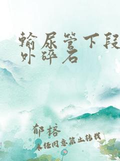 输尿管下段结石外碎石