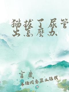 猫拔了尿管尿不出怎么办