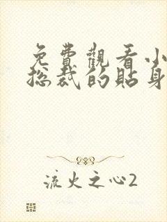 免费观看小说女总裁的贴身兵王