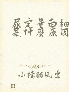 尿定量白细胞高是什么原因引起的