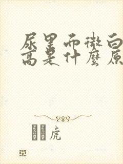 尿里面微白蛋白高是什么原因