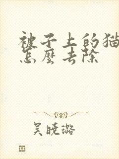 被子上的猫尿味怎么去除