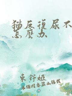 猫反复尿不出来怎么办