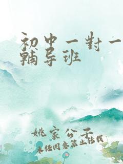 初中一对一历史辅导班