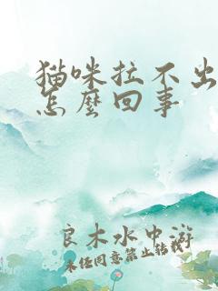 猫咪拉不出尿是怎么回事