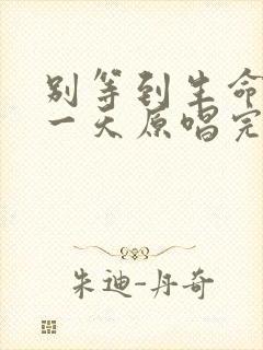 别等到生命最后一天原唱完整版