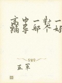 高中一对一英语辅导哪个好