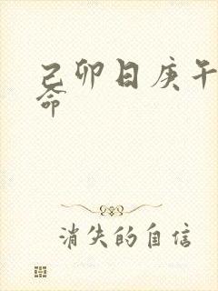 己卯日庚午时男命