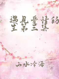 遇见爱情的利先生第三集