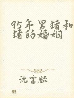 95年男猪和女猪的婚姻