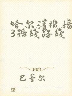 哈尔滨机场巴士3号线路线