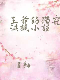 王爷的独宠暗卫洪枫小说