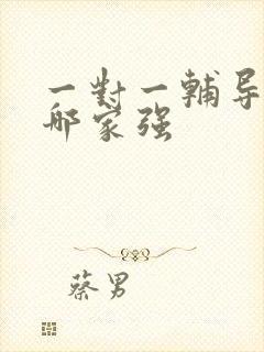 一对一辅导上门哪家强