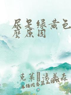 尿是绿黄色是什么原因