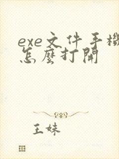 exe文件手机怎么打开