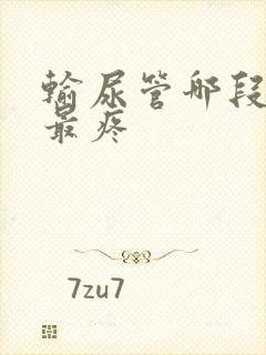 输尿管哪段结石最疼