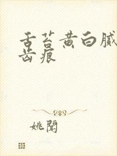 舌苔黄白腻厚有齿痕