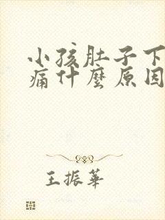 小孩肚子下腹疼痛什么原因引起的