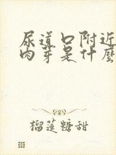 尿道口附近有小肉芽是什么