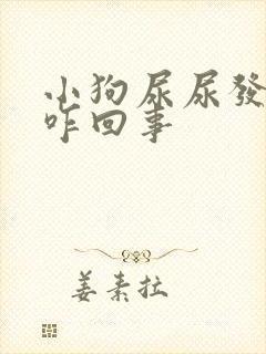 小狗尿尿发黄是咋回事